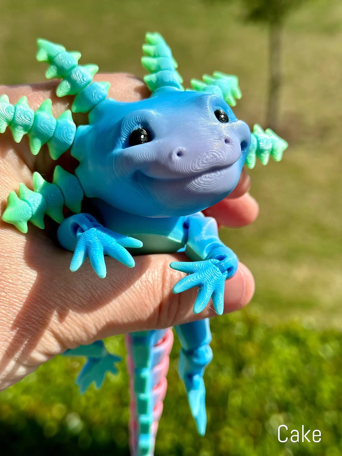 Cute 3d Printed Axolotl Fidget, Articulated Fidget Toy, Sensory Toy, 3d Axolotl Desk Toy, Colorful Axolotl, Fidget Toy, ASMR, Autism